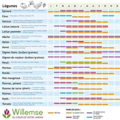 Calendrier des semis et plantations au potager