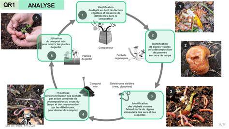 schéma illustrant le processus de décomposition organique et les facteurs bloquants
