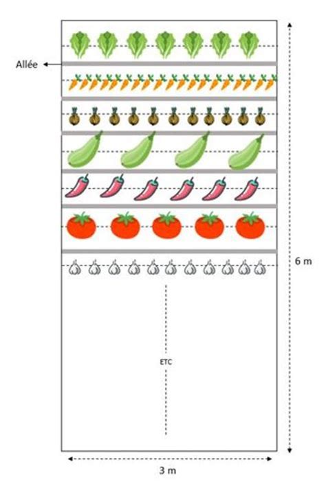 Comparaison visuelle des différents modèles de potagers : en ligne, en carré, vertical