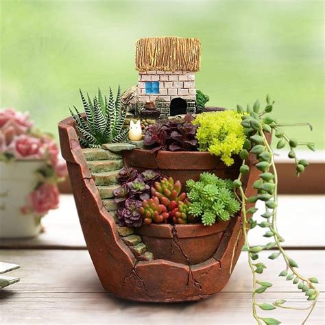 Plantes succulentes dans des pots décoratifs