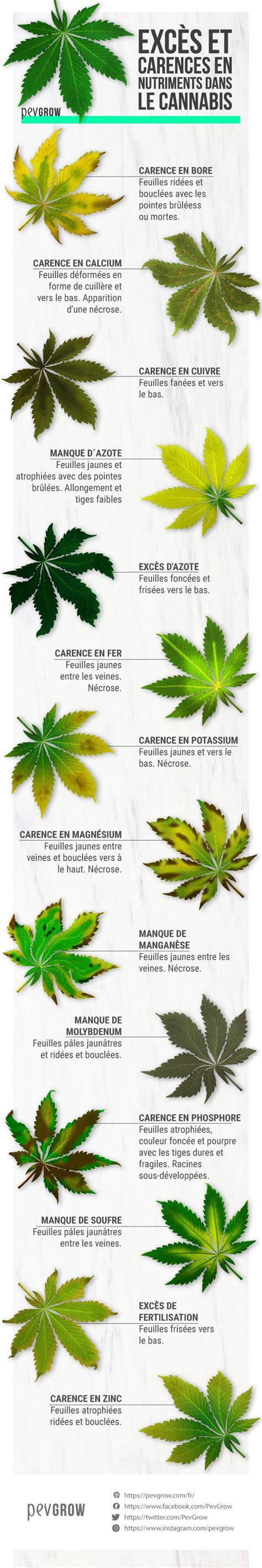 Tableau comparatif des symptômes de carences et excès en nutriments du cannabis