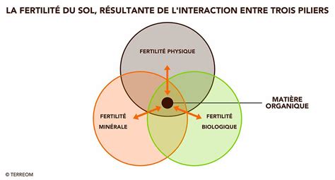 Schéma illustrant l'équilibre entre la fertilité des sols et la rentabilité économique des cultures maraîchères