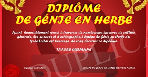 Équipe de Le Génie en Herbe au travail
