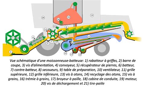 Schéma d'une moissonneuse-batteuse de maïs à épluchage