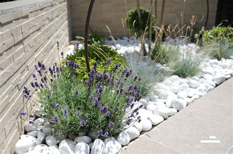 Jardin méditerranéen avec lavande en bordure d'allée