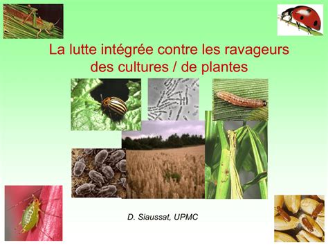 schéma de lutte intégrée contre les ravageurs