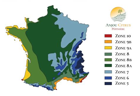 Carte de France indiquant les zones de rusticité des agrumes