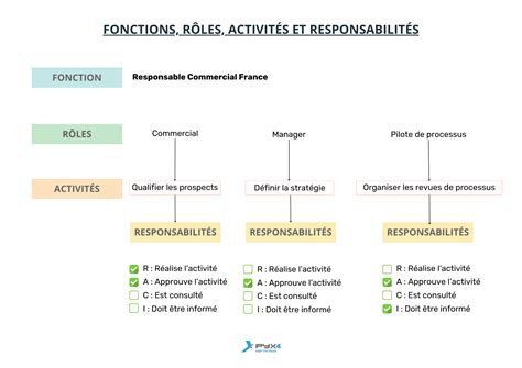 Schéma des ingrédients clés et leurs fonctions
