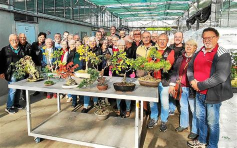 Serres du lycée Saint-Ilan accueillant des passionnés de bonsaï