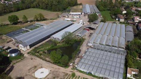 Vue aérienne de l'ensemble des serres de production de fraises de l'exploitation à Foussais-Payré