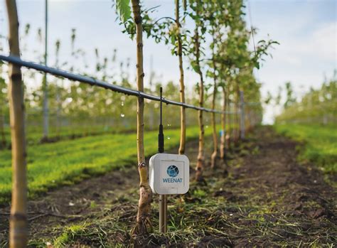 Système d'irrigation goutte à goutte dans un verger