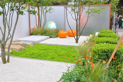 un jardin zen aménagé avec des bambous et des fougères