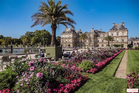 Vue panoramique du verger du Jardin du Luxembourg avec ses structures fruitières