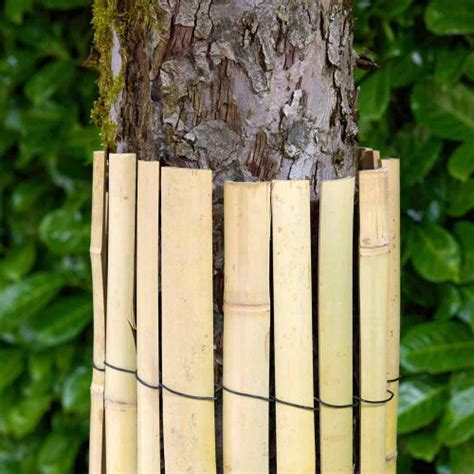clôture de protection autour d'un arbre