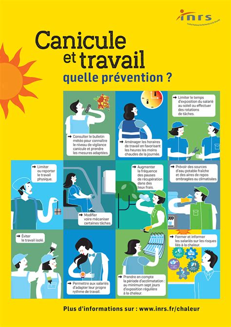 Infographie sur les mesures préventives contre les mouches au jardin