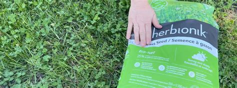 Mélange de semences pour pelouse écologique