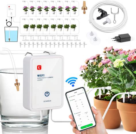 Photo d'un système d'irrigation par capillarité pour plantes d'intérieur