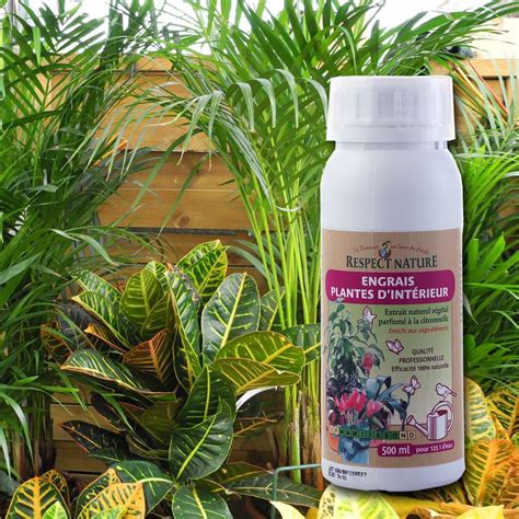 Engrais pour plantes d'intérieur