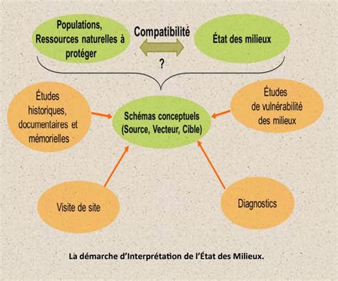 Schéma conceptuel des théories de Mauss sur le fait social total et son application à la Mensur