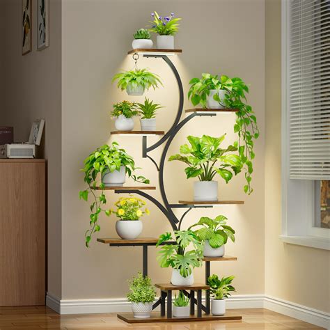 une collection variée de supports pour plantes d'intérieur allant du fil de fer au bois