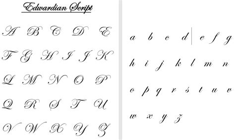 Photo comparative de différents types de griffes : modèle à main, modèle à long manche et griffe rotative