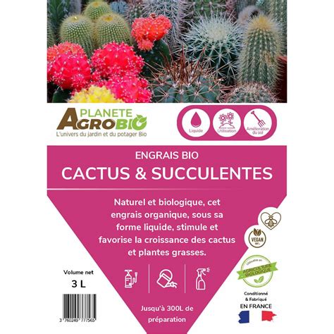 Engrais pour plantes succulentes