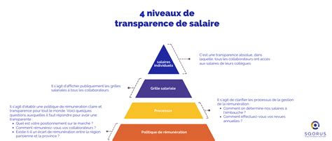 Infographie illustrant la pyramide de la transparence des données d'entreprise et les accès aux registres publics en France