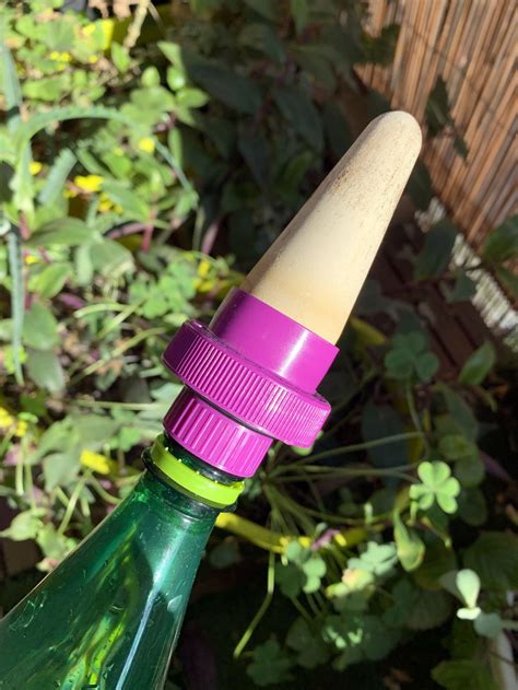 Installation d'un cône d'arrosage avec une bouteille