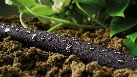 Tuyau microporeux en action dans un potager