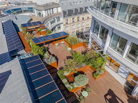 Représentation 3D d'un rooftop végétalisé par arboricompostage avec différentes essences de plantes