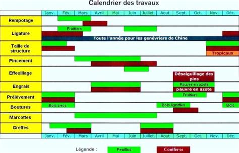 Calendrier visuel des fréquences d'arrosage du bonsaï par saison