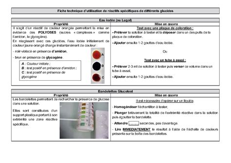 Vue aérienne de Canteleu avec mise en évidence des zones vertes et de l'implantation des jardins potagers