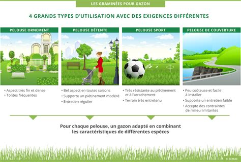 Infographie comparant les caractéristiques des gazons synthétiques bas de gamme et haut de gamme