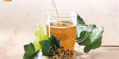 Infusion de feuilles de lierre