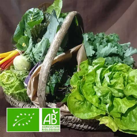 Panier de légumes bio divers issus des semences Agrosemens