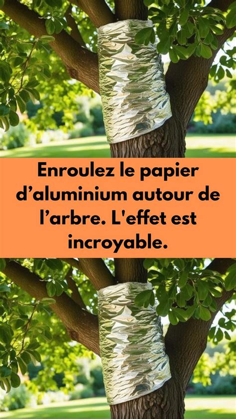 Photo montrant le manchon recouvert de papier aluminium sur une branche d'arbre
