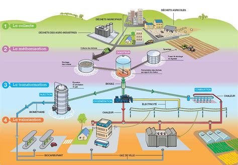 Schéma d'une unité de méthanisation
