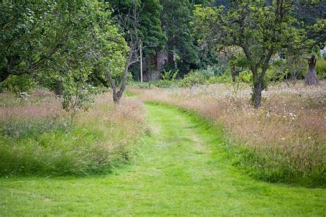 Exemple de jardin privé appliquant la tonte différenciée avec des zones fleuries et des allées tondues