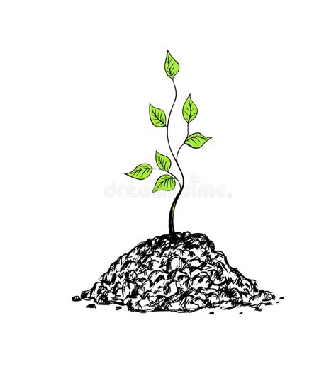 Illustration d'un jeune arbre fraîchement tuteuré