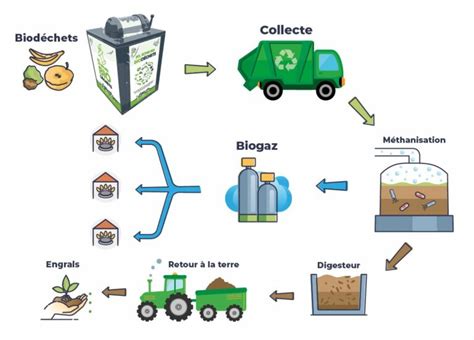 Schéma de la collecte et du traitement des biodéchets par méthanisation