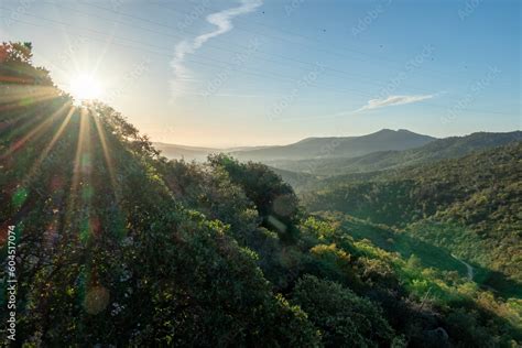 Paysage vallonné de l'Aveyron autour d'Anglars-Saint-Félix