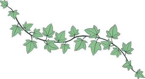 Illustration artistique d'une branche de lierre entrelacée sur un avant-bras, style réalisme noir et gris