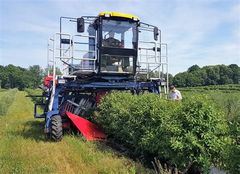 Infographie comparative : machine traînée vs automotrice pour la récolte de légumes-racines