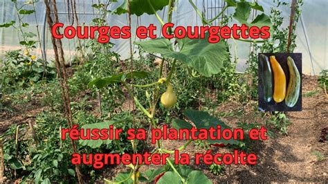Schéma d'espacement pour courges coureuses et non coureuses