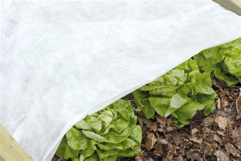voile d'hivernage sur des jeunes plants