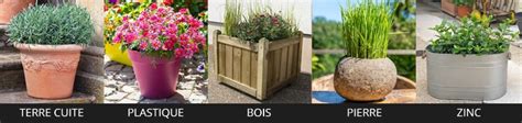 Illustration comparative de différentes tailles de pots et de plantes
