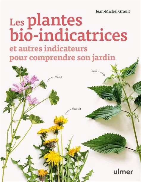 infographie sur les plantes bio-indicatrices et leur signification