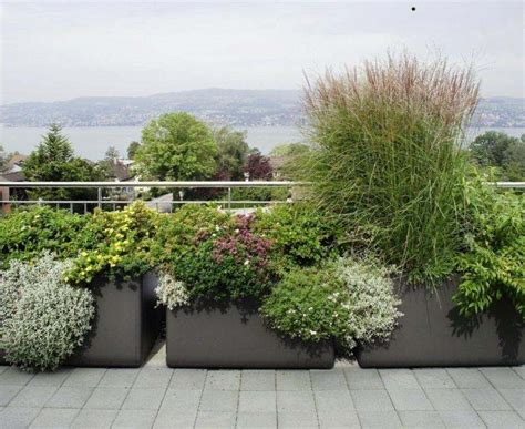 Exemple de composition végétale dans une grande jardinière