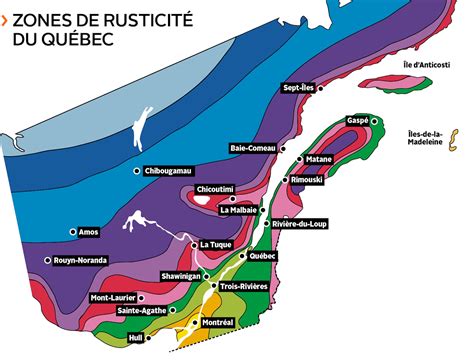 Carte de répartition des zones de rusticité adaptées à la culture des jacinthes en pleine terre