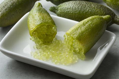Gros plan sur les billes translucides d'un citron caviar